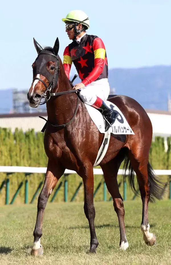 【チューリップ賞】ウオッカでも勝てなかった…四位洋文調教師、桜花賞２着４回騎手時代の悔しさ晴らす！ソルパッサーレでまず切符取りだ