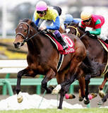 「「化け物の領域」「エグい」豪州Ｇ１でディープインパクトの孫娘圧勝にネット沸く　ドンカスターマイルのシーザアリバイ」の画像1