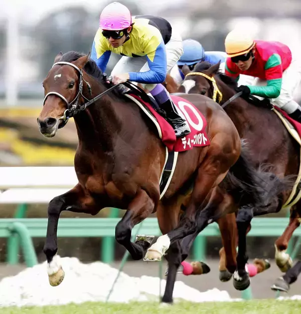 「化け物の領域」「エグい」豪州Ｇ１でディープインパクトの孫娘圧勝にネット沸く　ドンカスターマイルのシーザアリバイ