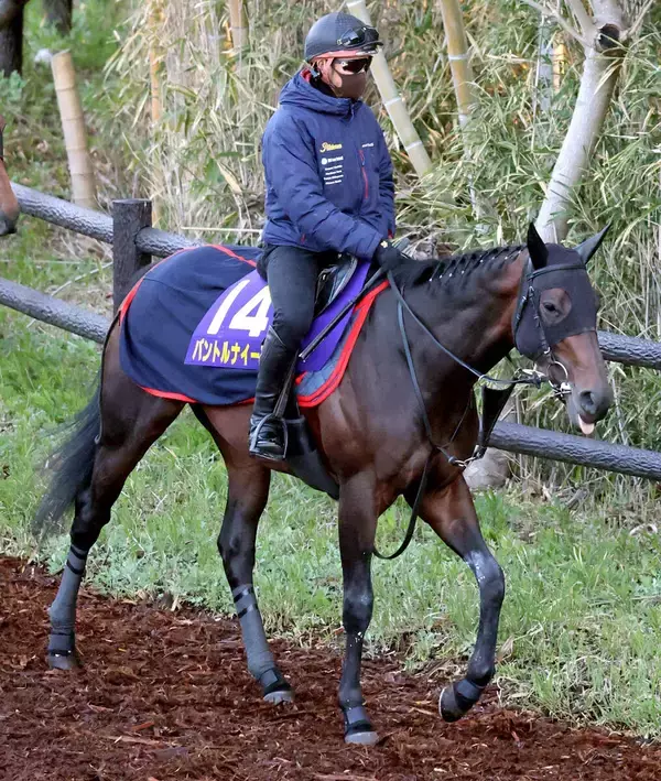 【皐月賞】東京スポーツ杯２歳Ｓ勝利から中１４５日のパントルナイーフ　勝てばコントレイル超えの皐月賞最長ブランクＶ
