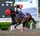 「【高知競馬】船橋のライラボンドが福永洋一記念制覇　鞍上は川崎の野畑凌騎手」の画像1