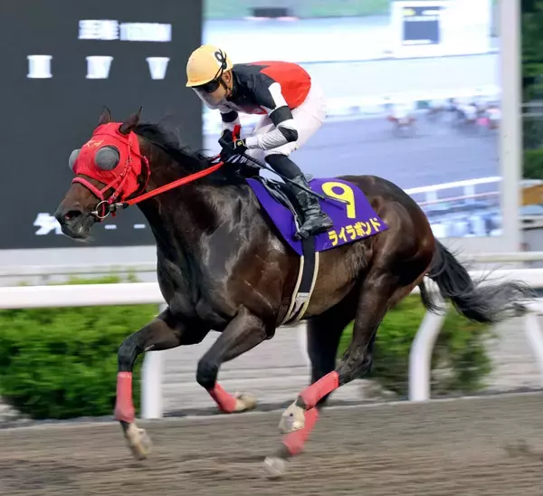 【高知競馬】船橋のライラボンドが福永洋一記念制覇　鞍上は川崎の野畑凌騎手