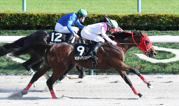 【麦秋Ｓ】ディー騎手も「タフな馬。今後が楽しみ」と高評価　メリディアンスターが３連勝でオープン入り
