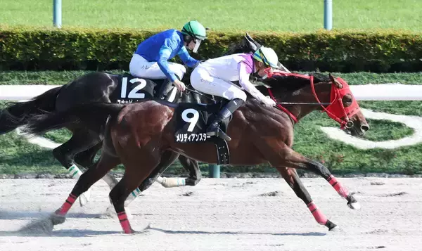 【麦秋Ｓ】ディー騎手も「タフな馬。今後が楽しみ」と高評価　メリディアンスターが３連勝でオープン入り