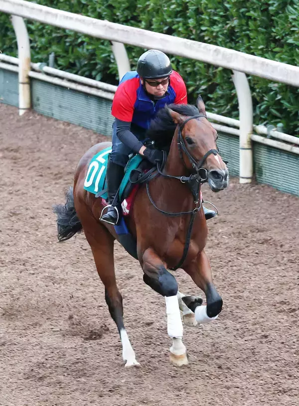 【１８日の注目・小倉９Ｒ】西郷隆盛ＶＳ大久保利通に地方からも“大物”参戦！　維新の三傑にちなんだ九州産馬が令和に激突