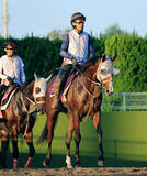 「【新潟記念】３歳マイル王のロデオドライブが初の２０００メートルで古馬へ挑む　辻調教師「今後の可能性を広げるうえで…」」の画像1