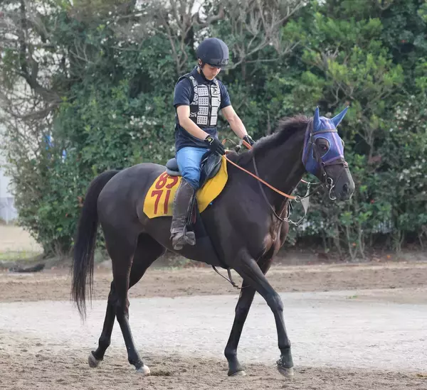 土曜中山競馬場の注目激走馬…中山１１Ｒ京成杯オータムハンデキャップ・Ｇ３