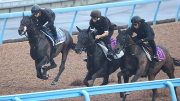 【オールカマー１週前】コスモキュランダが３頭併せで突き抜け好時計　加藤士調教師「１週前としてはいいですね」