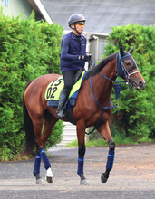 【野路菊Ｓ】歴代最速の切れ者ジーティーサクラ　陣営「使ったことで、前回より動きは全然いい」