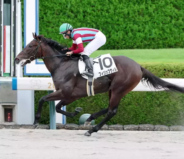 【阪神４Ｒ】１番人気フィリップヴィルが逃げ切りデビューＶ　岩田望来騎手は２Ｒから３連勝「追ってからの反応も良かった」