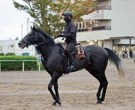【毎日王冠】リアライズシリウスは条件バッチリ　手塚久調教師「一番得意な舞台」津村明秀騎手「条件はベストに近い」