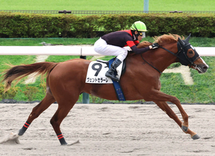 【東京３Ｒ・２歳新馬】「もしかしたら…」津村明秀騎手も驚きの豪脚でヴェントセラーレがライバルのみ込む