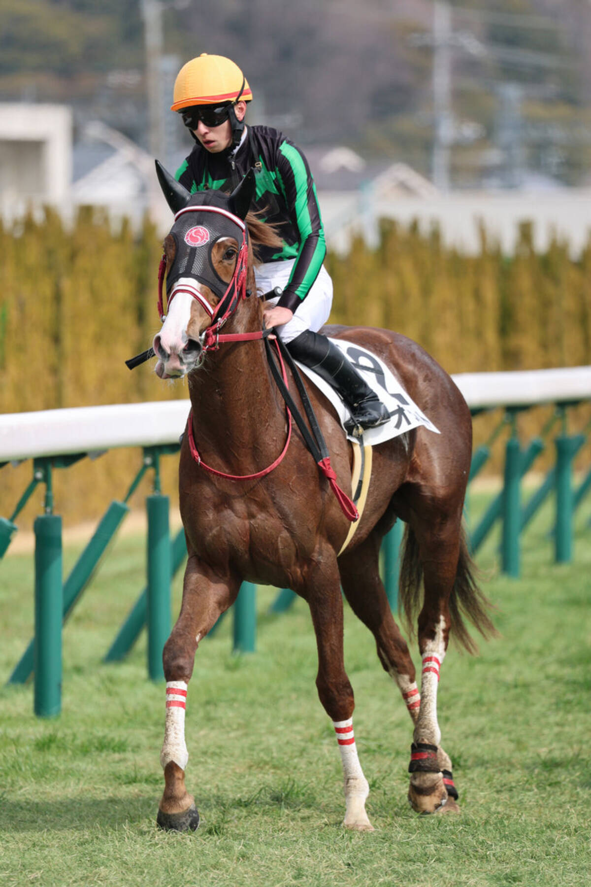 史上初の珍事！馬単より単勝の払い戻しが700円も上回った京都5R 
