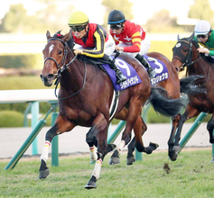 突然の別れから８か月…天国へ旅立った３冠牝馬の初Ｇ１制覇は次元の違う圧勝だった　阪神ＪＦ過去の名勝負