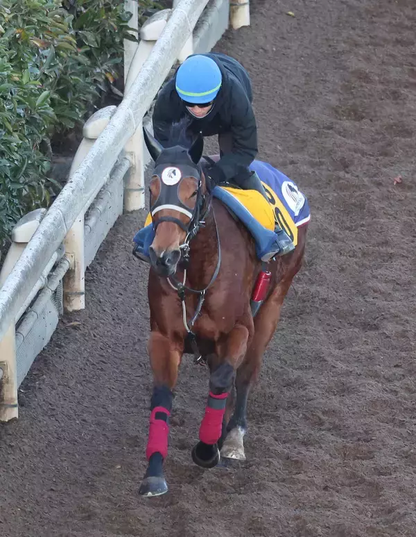 【注目馬動向】阪神Ｃ１１着のジューンブレアは高松宮記念に直行