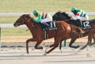 【京都１０Ｒ・門松Ｓ】「完勝でしたよね」武豊騎手が今年初勝利！　ヒルノドゴールをオープン入りに導く　