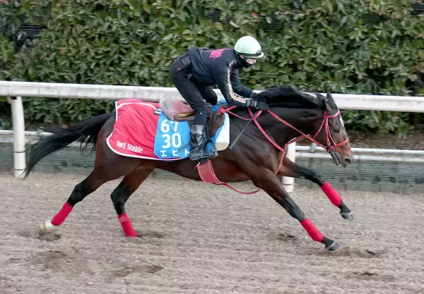 【ＡＪＣＣ】９歳馬エヒトが５２秒１の好時計　８か月半ぶり復帰戦へ順調　陣営「体も若々しいですね」