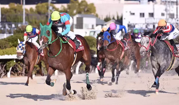 【姫路競馬・兵庫ウインターカップ】ペースセッティングが地元の意地見せ重賞初制覇　２３年のシンザン記念２着馬が復活