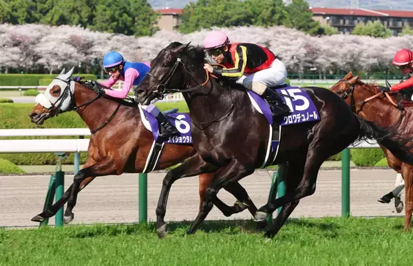 【大阪杯】メイショウタバル逃げ粘り２着　人馬一体の走りに武豊「自分のやりたいレースはできました」