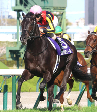 【注目馬動向】大阪杯Ｖクロワデュノールは天皇賞・春へ　鞍上は引き続き北村友一騎手　父キタサンブラックと同ローテ