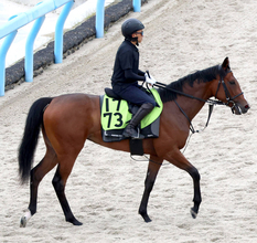 【ＰＯＧ】福永厩舎の良血馬２頭　２・４億円馬のベルコートと２・６億円馬のドラゴンバルドがゲート試験合格