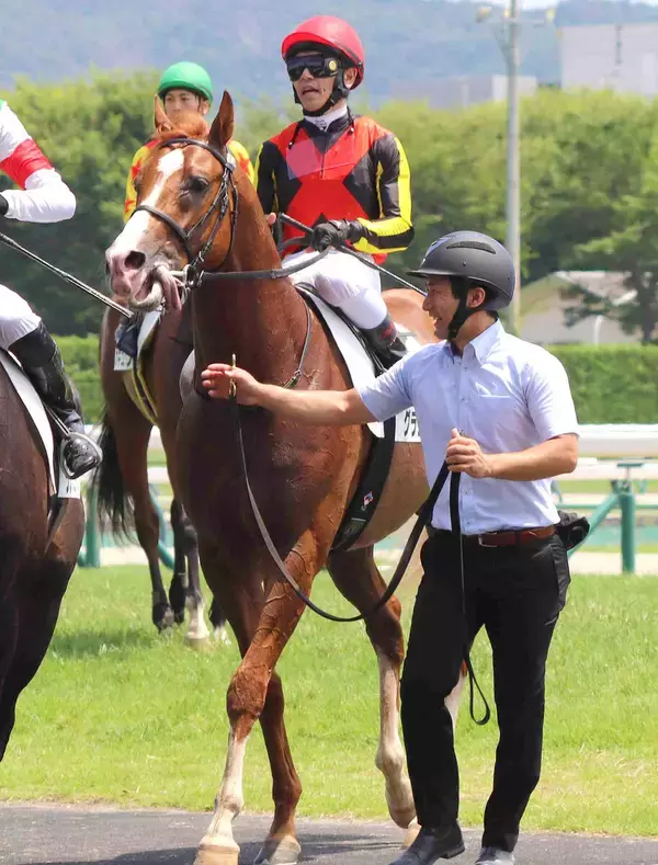 【注目馬動向】グランアレグリアの初子グランマエストロは８月３０日の新潟の３歳未勝利で悲願の初勝利へ