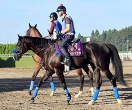 【新潟記念】今夏重賞４勝の田辺裕信騎手との新コンビで臨むドゥレッツァ　尾関知人調教師「期待したいなと思います」