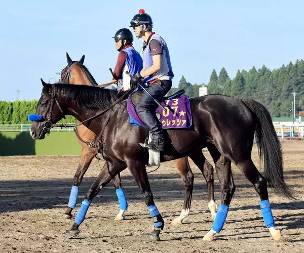 【新潟記念】今夏重賞４勝の田辺裕信騎手との新コンビで臨むドゥレッツァ　尾関知人調教師「期待したいなと思います」