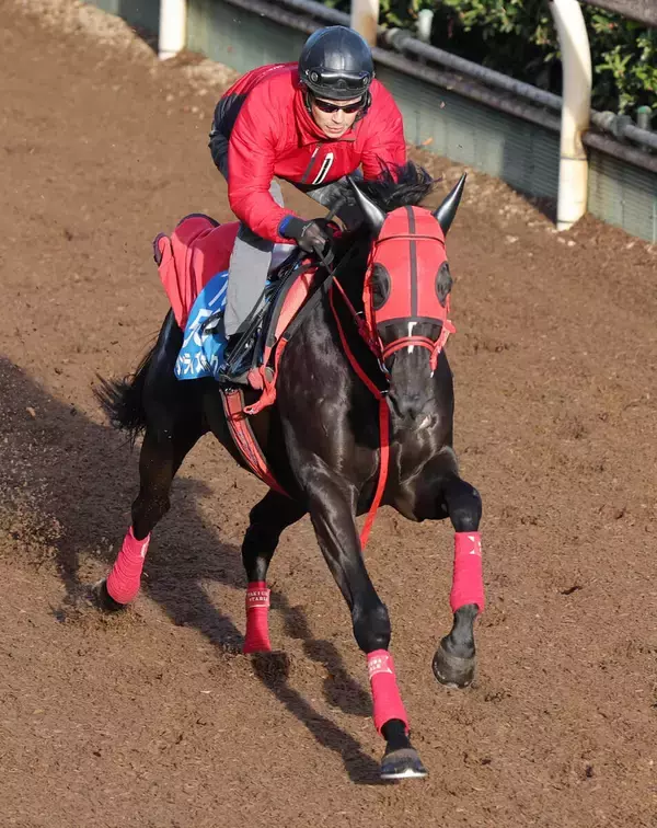【兵庫ＧＴ】一昨年の覇者サンライズホークは７枠９番　３歳馬マテンロウコマンドは大外枠に決まる
