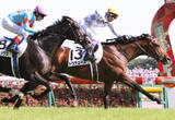 「【ダービー記録】最多勝　ジョッキーは武豊騎手の６勝　種牡馬ではディープインパクト７勝　馬主はサンデーレーシング５勝」の画像1