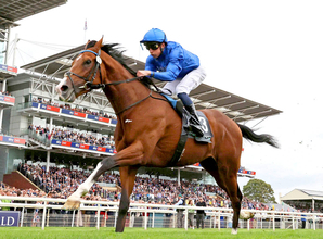 カーインライジングが１ポンドの上方修正で世界ランク１位を守る　英Ｇ１で４馬身差圧勝のオンブズマンがトップタイに浮上