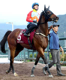 史上初のダブル受賞　香港年度代表馬に最強短距離馬のカーインライジングと世界最高賞金のロマンチックウォリアー
