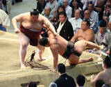 「【大相撲】関脇・熱海富士が２横綱撃破の１０勝目　大関とりの起点つくる　トップと１差の３敗で静岡県勢初優勝へ「毎日毎日、全力でやっている」」の画像1