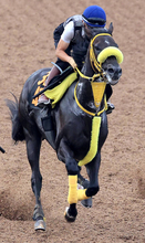 【レパードＳ】キャリアハイ更新ペースの５３勝　荻野極騎手がドンエレクトスを重賞初Ｖに導く「いい対処ができるように備えたい」