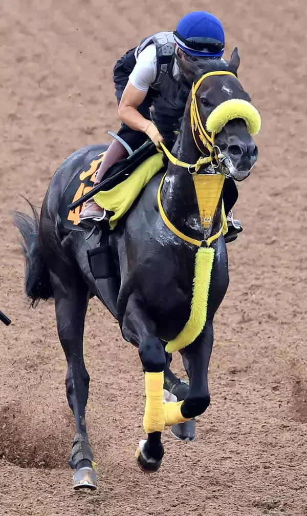【レパードＳ】キャリアハイ更新ペースの５３勝　荻野極騎手がドンエレクトスを重賞初Ｖに導く「いい対処ができるように備えたい」