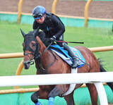 「【札幌記念】ホウオウビスケッツは馬体スッキリ　昨年１２キロ増で７着　陣営「普段の調教から太くならないようにした」」の画像1