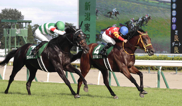 「激アツ」「馬券むずいな」「もうＧ１」登録１１頭中Ｇ１馬５頭の新潟記念　１１頭以下の出走は過去３０年で３度だけ
