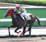 「【札幌１Ｒ】ロジアコースが初ダートで一変！　単勝１・１倍の人気馬を圧倒する走りに浜中俊騎手「着差が示す通り…」」の画像1