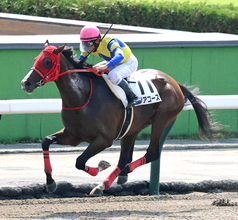 【札幌１Ｒ】ロジアコースが初ダートで一変！　単勝１・１倍の人気馬を圧倒する走りに浜中俊騎手「着差が示す通り…」