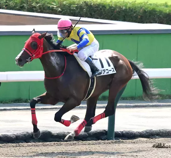 【札幌１Ｒ】ロジアコースが初ダートで一変！　単勝１・１倍の人気馬を圧倒する走りに浜中俊騎手「着差が示す通り…」