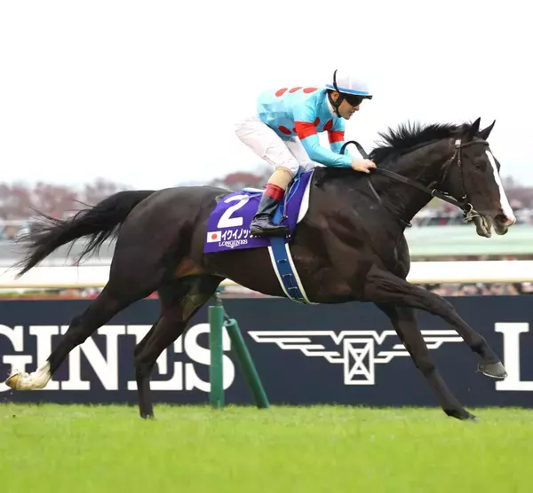 【ＰＯＧ】イクイノックスの全妹エクアトーレが１０・３１東京デビューへ　シルク・ホースクラブが発表