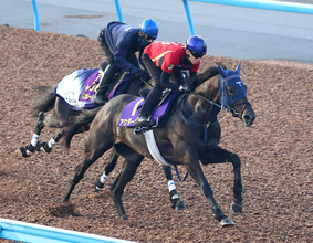 【菊花賞・１週前】アウダーシアが上昇気配　マスカレードボールに食らいつく　津村明秀騎手「持久力を生かせていい」