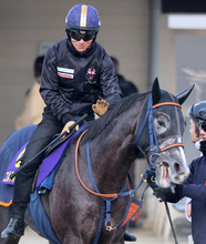 【朝日杯ＦＳ・考察】開業１年目ながら厩舎力高い佐藤悠厩舎のコルテオソレイユ　未知の魅力に期待