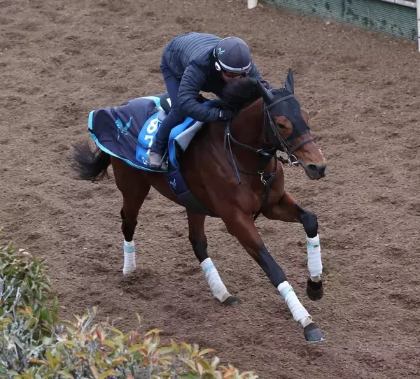 日曜東京競馬場の注目激走馬…東京１１Ｒ根岸ステークス・Ｇ３