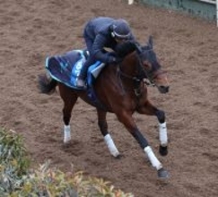 日曜東京競馬場の注目激走馬…東京１１Ｒ根岸ステークス・Ｇ３