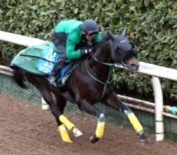 【中山記念】“鉄人”幸騎手と３戦ぶりコンビ復活！セイウンハーデスは加速スムーズ　橋口調教師「しまいは楽にいい時計」