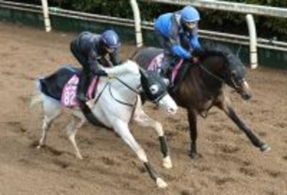 【報知杯ＦＲ】マルガは新コンビの川田将雅騎手の騎乗でリズム重視の調整　陣営「感触をつかんでほしかった」