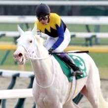 【報知杯ＦＲ】２１年の桜花賞を含むＧ１・３勝ソダシの半妹　白毛のマルガは抽選で除外