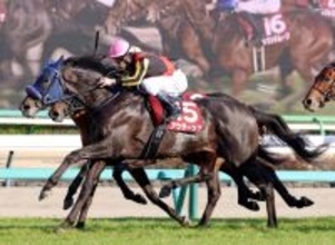 【スプリングＳ】津村明秀騎手＆手塚貴久調教師の黄金コンビでまたクラシック切符をつかんだ！超新星アウダーシア重賞初制覇