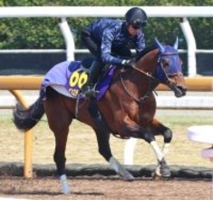 【大阪杯】テイオーの血を引くレーベンスティールがＧ１奪取だ　田中博調教師「満足のいく状態で送り出せます」